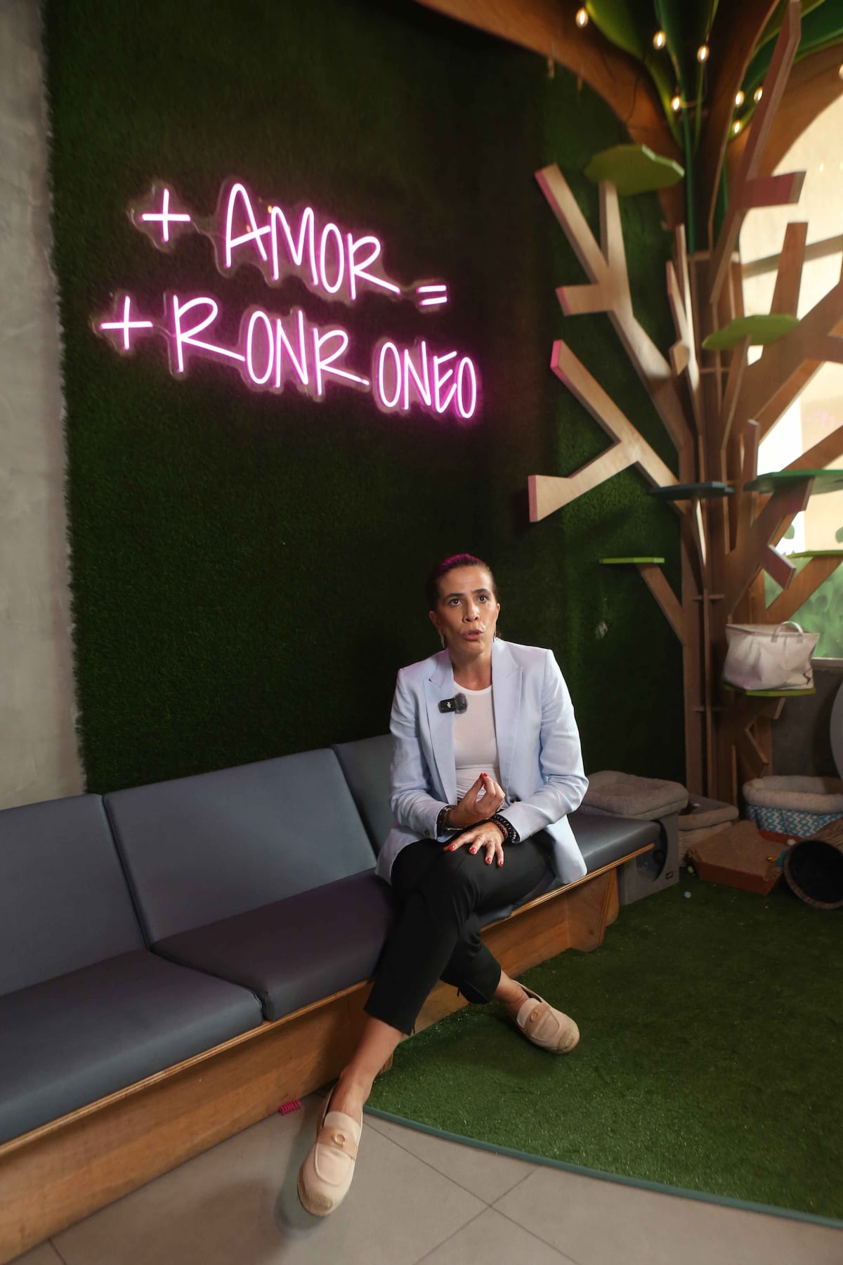 De no querer gatos a salvar más de 100: Laura Ospina y el poder transformador del amor felino