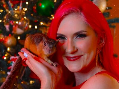 Chip: la ardilla que  vive en un apartamento