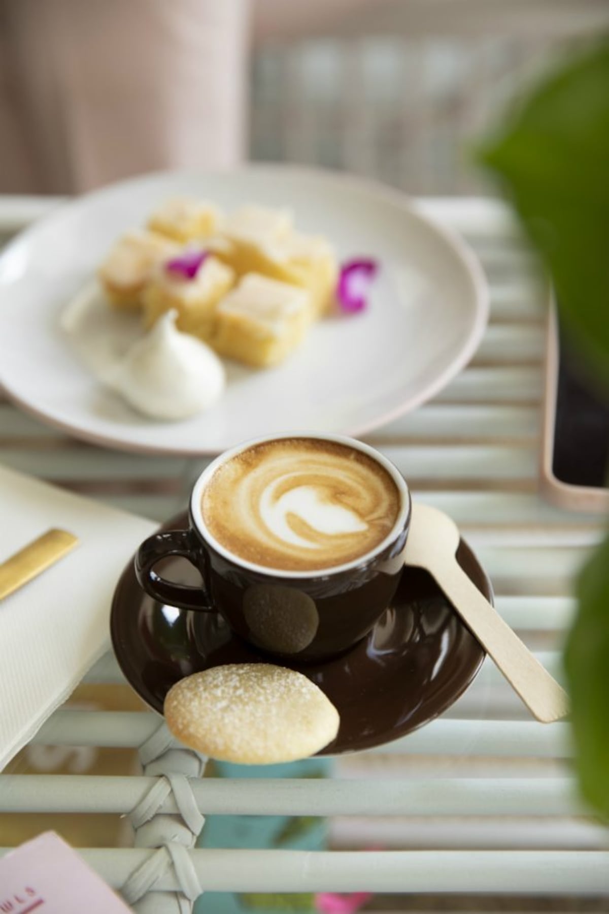 El nuevo hogar de Cuquita Cookita