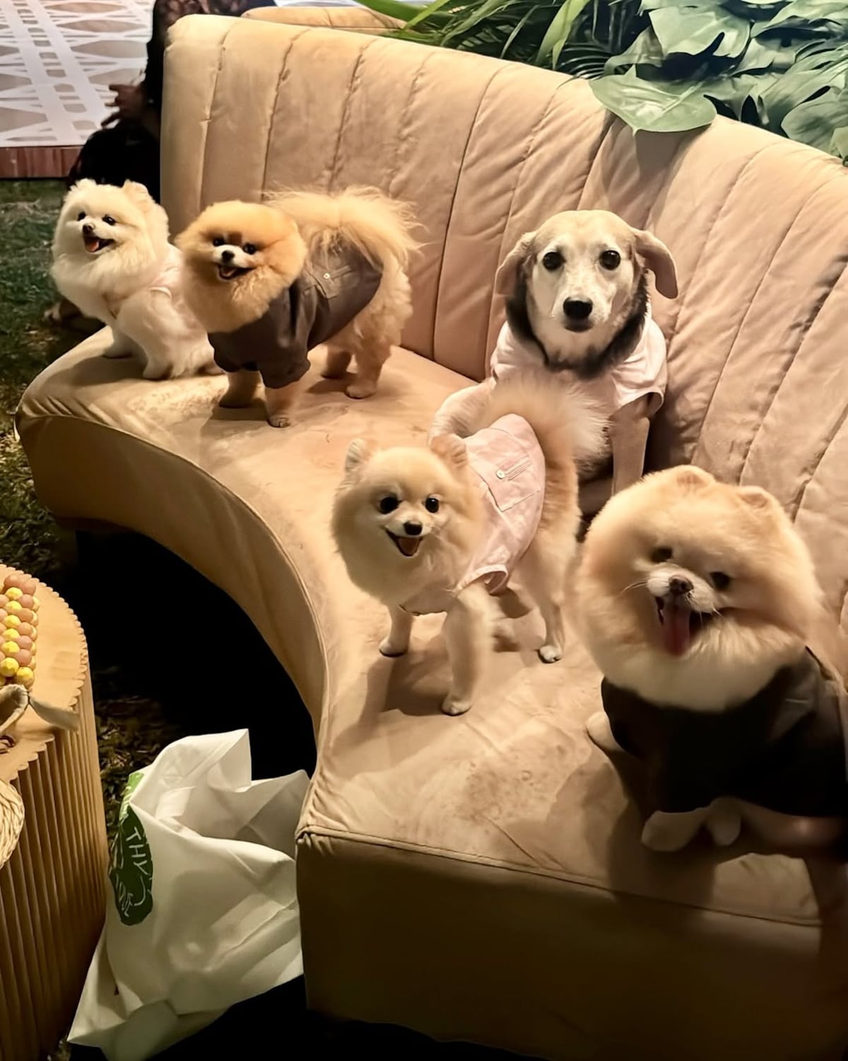 La boda (con tres días de celebración) de Gabriella Mizrachi, hermana mayor del alcalde Mayer