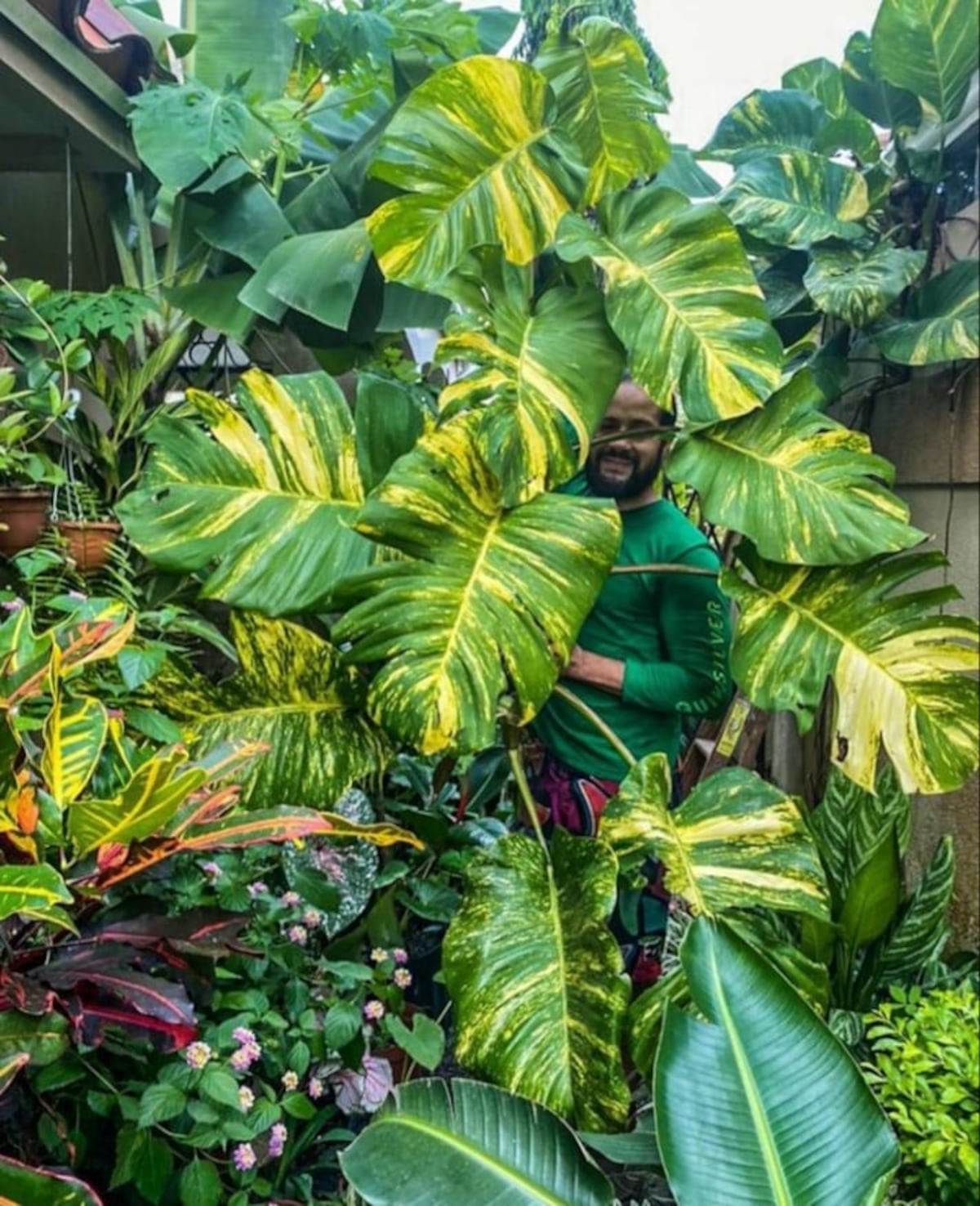 11 cuentas de Instagram en Panamá para ‘plant lovers’
