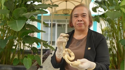 La única doctora especializada en veneno de serpientes en uno de los países con más víboras del mundo
