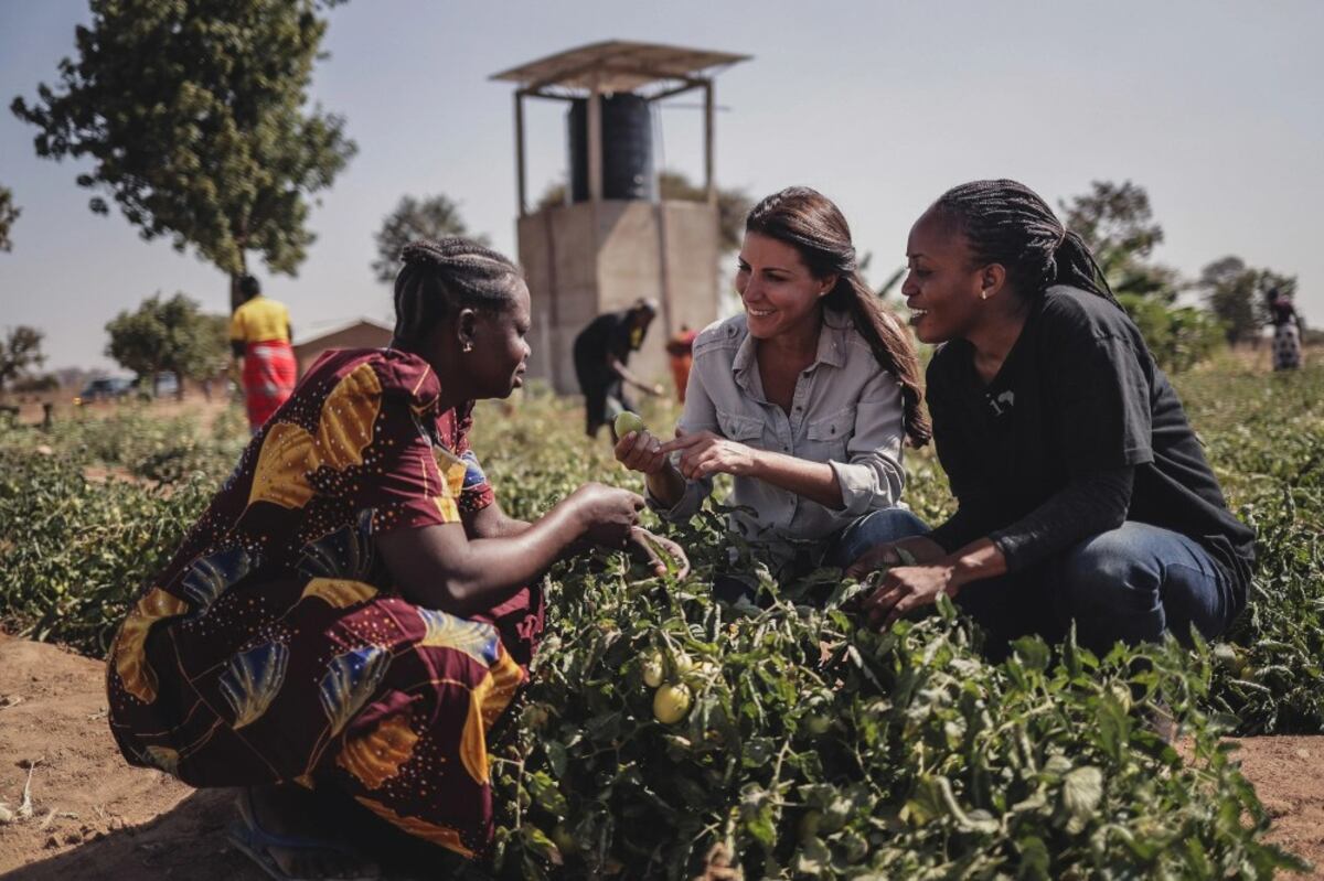 ‘Solo tomamos algo que existía, y lo llevamos a un lugar donde lo necesitaban’.