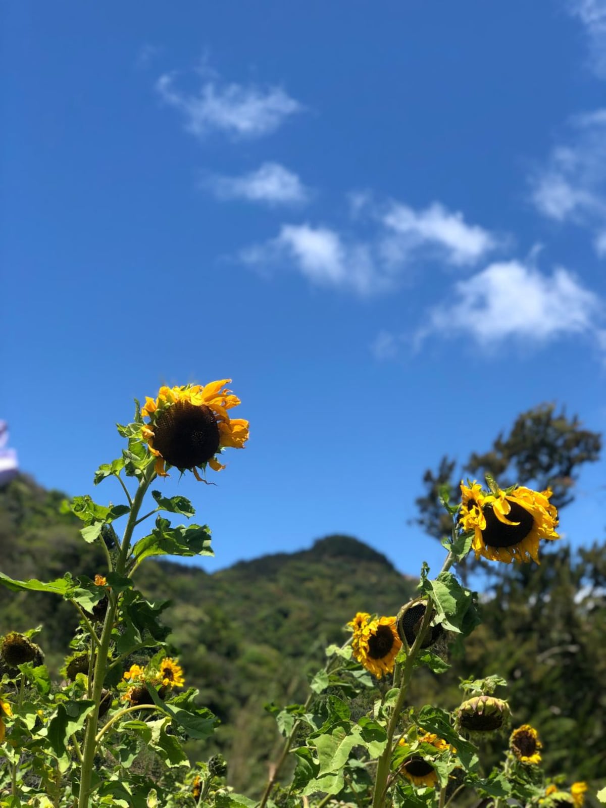 5 actividades que no te puedes perder si visitas Tierras Altas