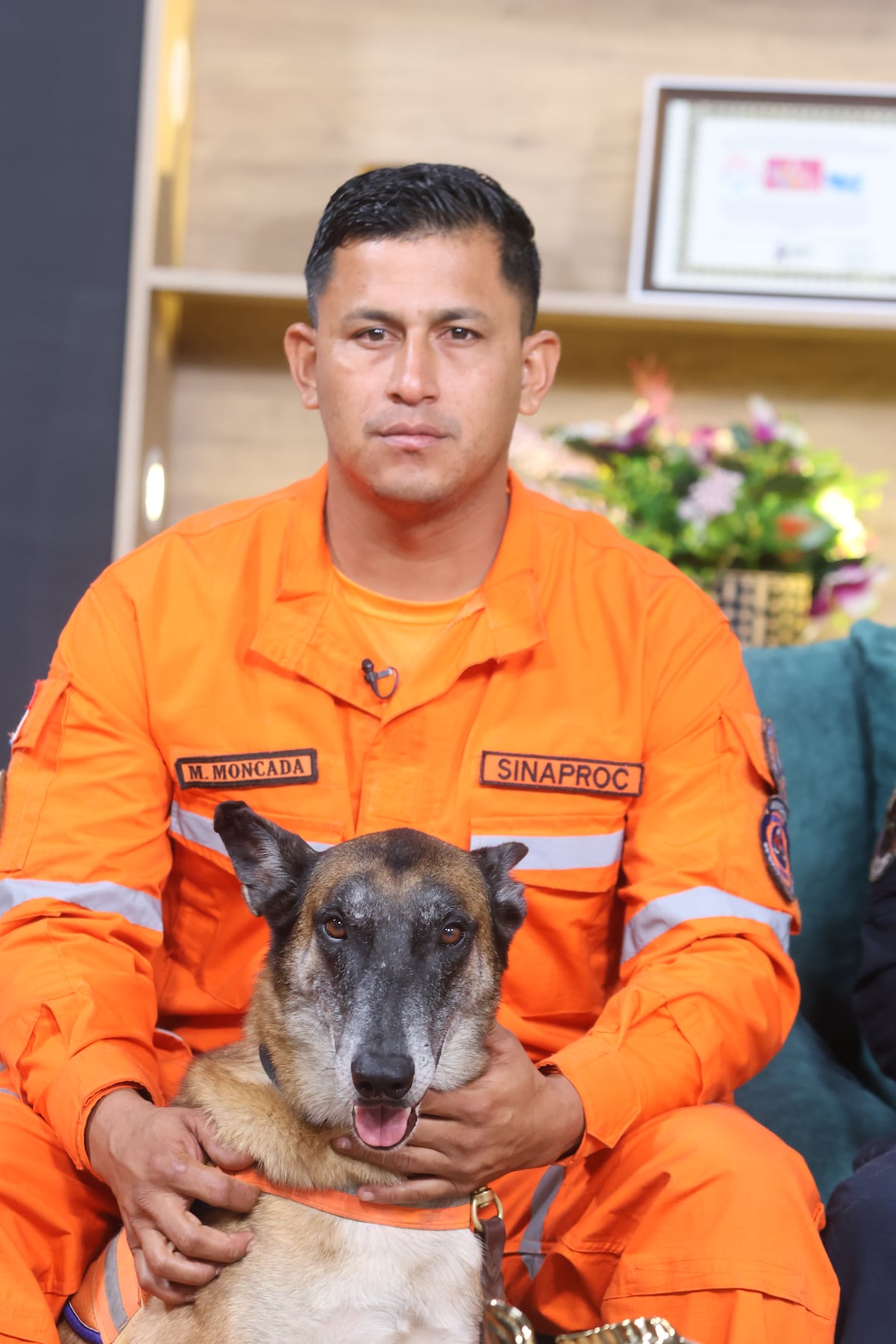Entre ladridos y esperanza: la historia de los perros panameños que viajaron a Venezuela para buscar sobrevivientes