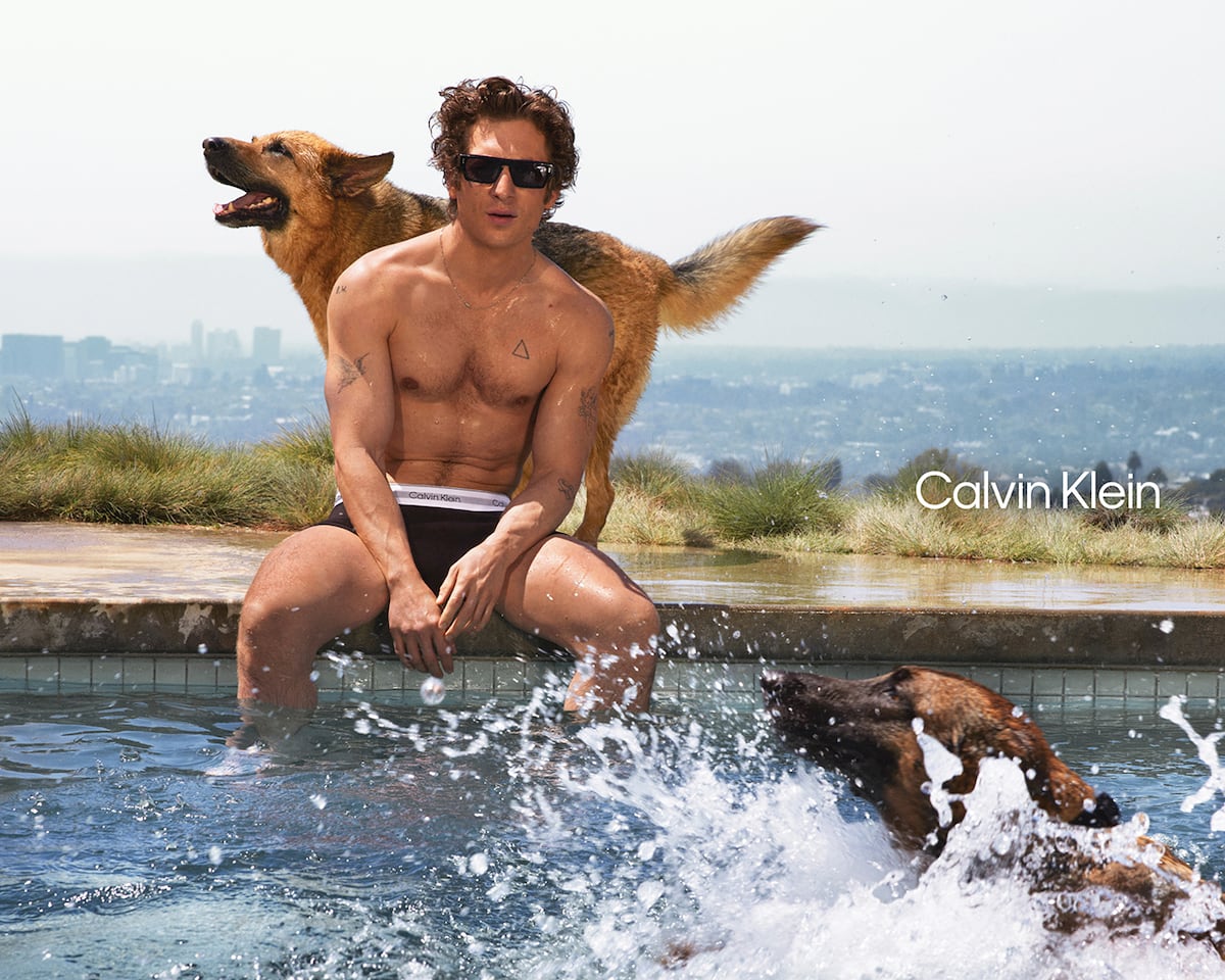 Jeremy Allen White y Calvin Klein lo vuelven a hacer: 8 fotos de la nueva y sexi campaña