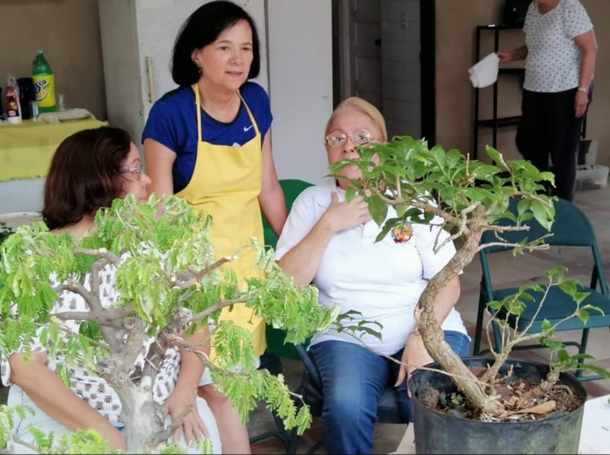 Aprendiendo y riendo juntas: 9 grupos de mujeres para unirse en Panamá