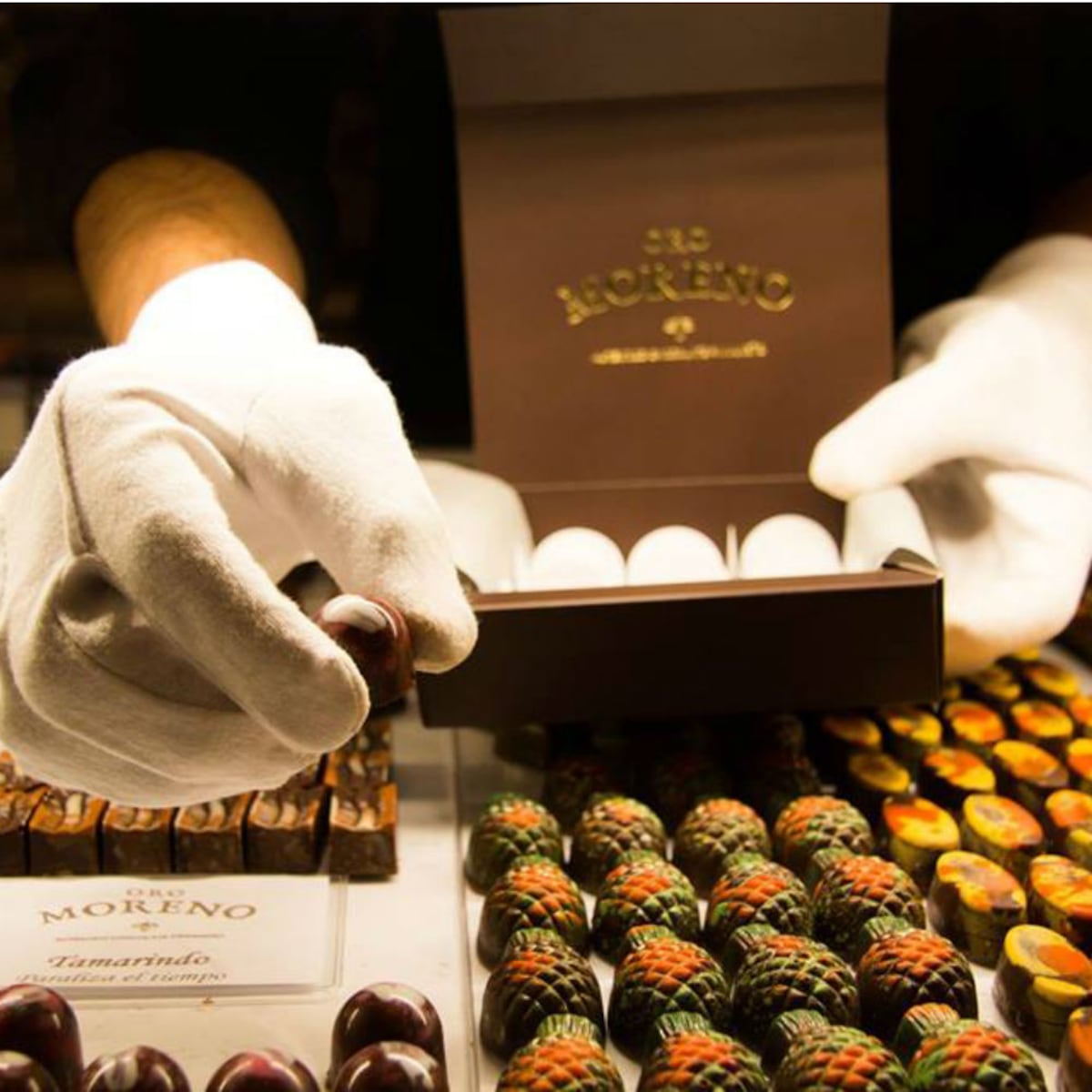 Un santuario para el chocolate panameño