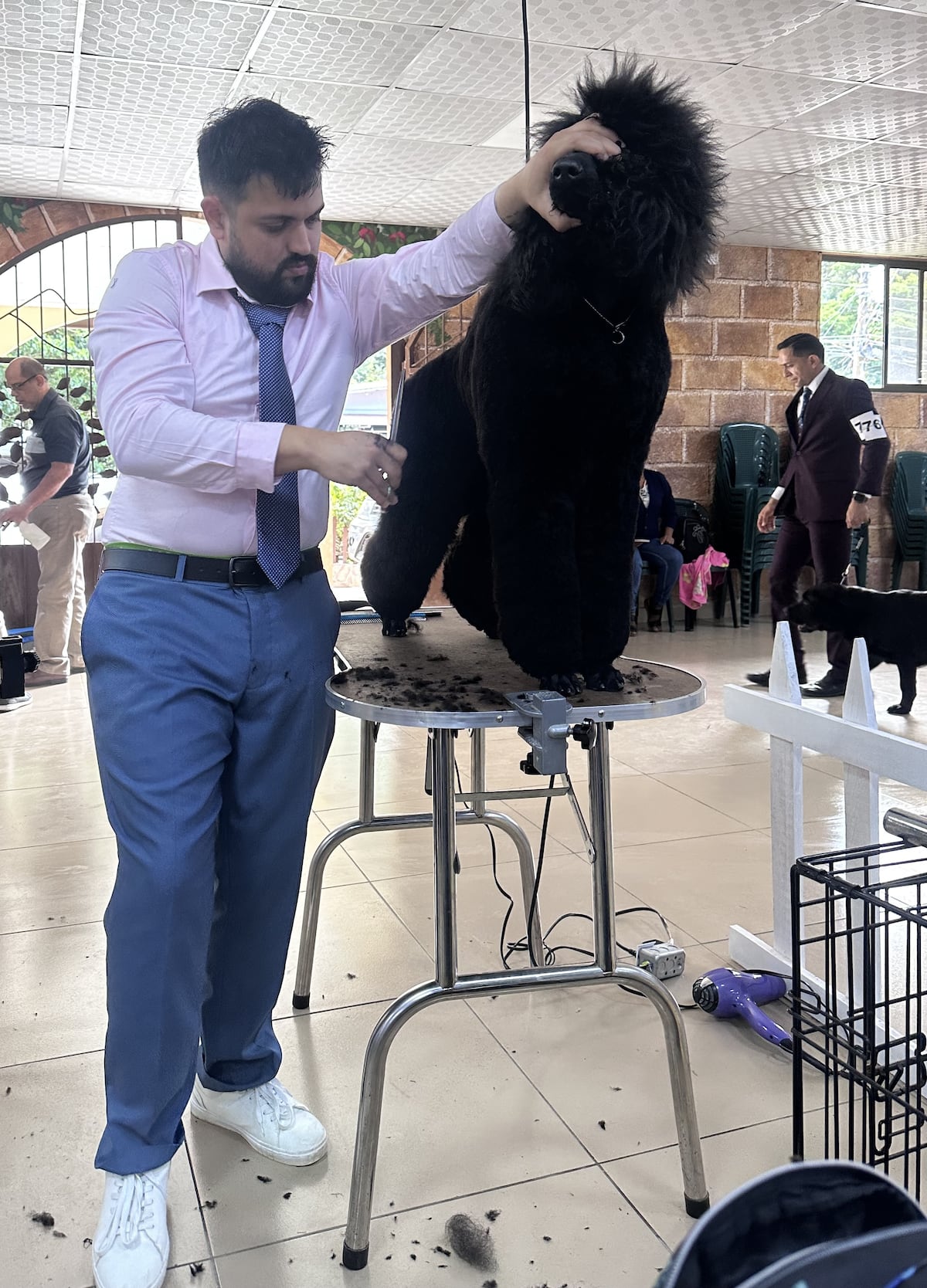 Panamá dice presente en competencia internacional de ‘grooming’ canino