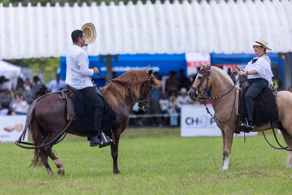 Primera Feria Agropecuaria Equina de Panamá: un encuentro que unió pasión, tradición y desarrollo