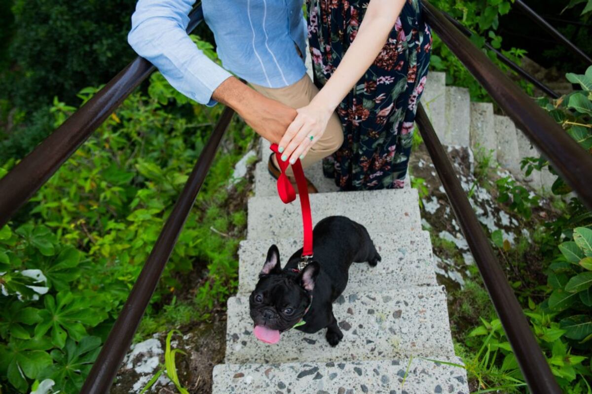 Un amor de boda en boda: la historia de Irene Núñez y su esposo Javier Gadpaille