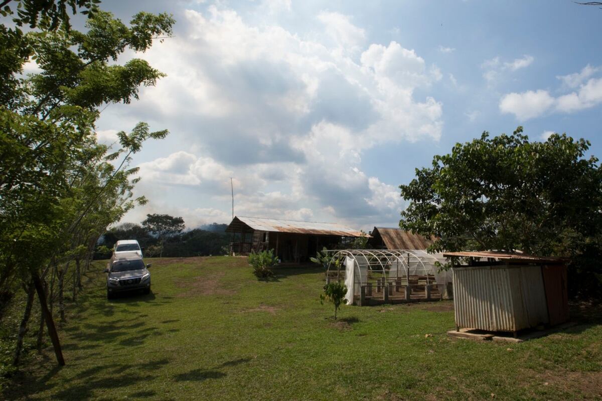 Liduvina Rivera y su café galardonado de Capira