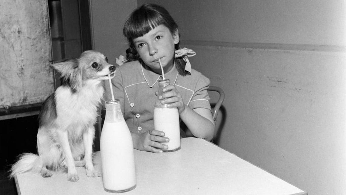 5 alimentos que ayudan a cuidar nuestros huesos (más allá de la leche)