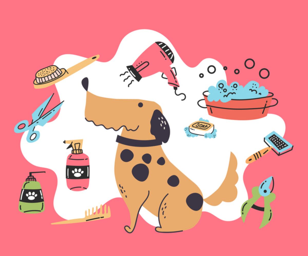 Mascotas y finanzas personales