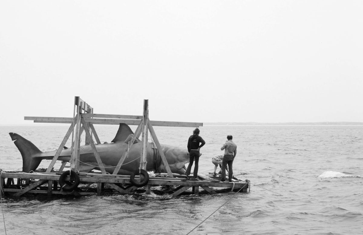 `Tiburón´ cumple medio siglo