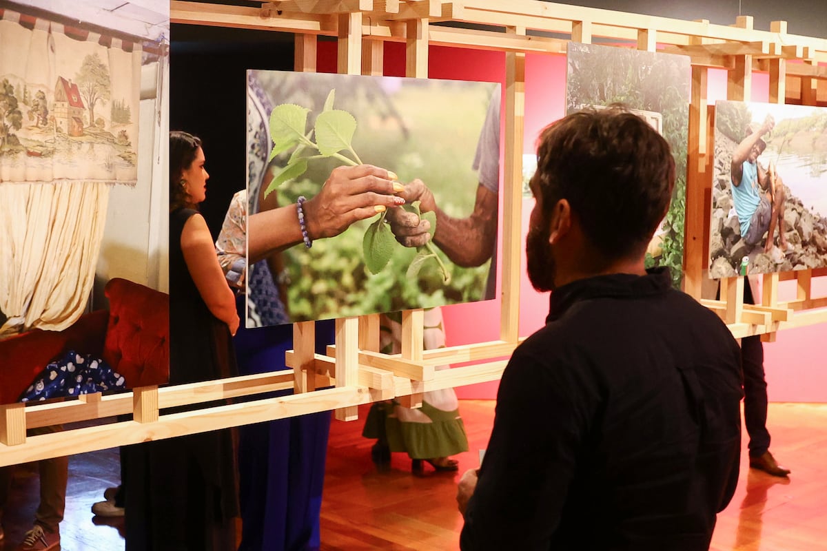 Un jardín clandestino a orillas del Canal de Panamá, pausa frente al veloz comercio global