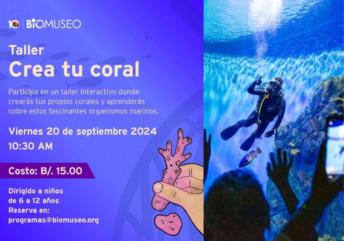 Actividades en Panamá para disfrutar esta semana de vacaciones escolares