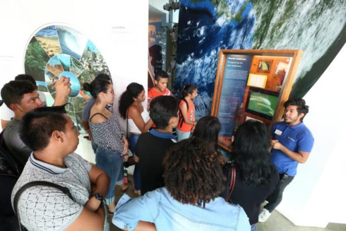 Domingos de biodiversidad.