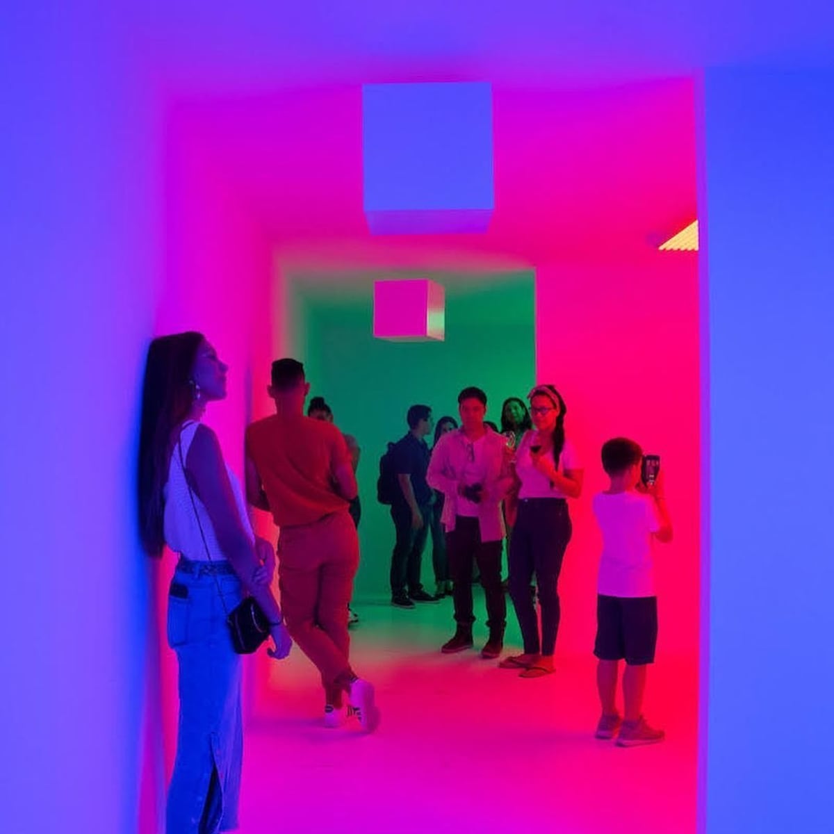 “Tantas Cosas Bellas”: llega la subasta MAC 2024