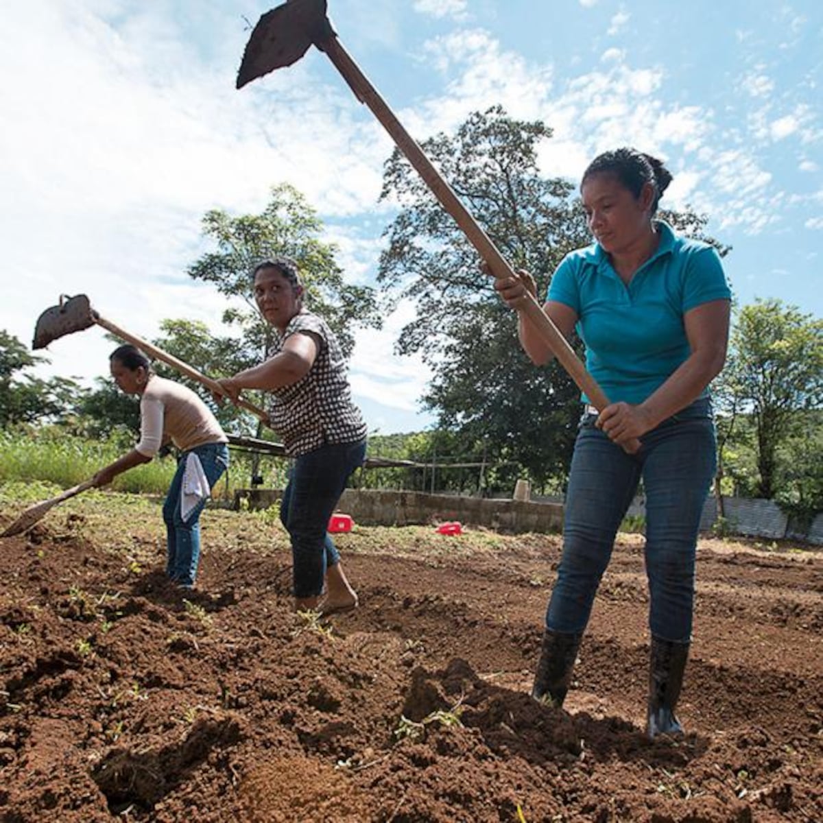 ‘Una computadora por niño’, el proyecto que cambia mundos