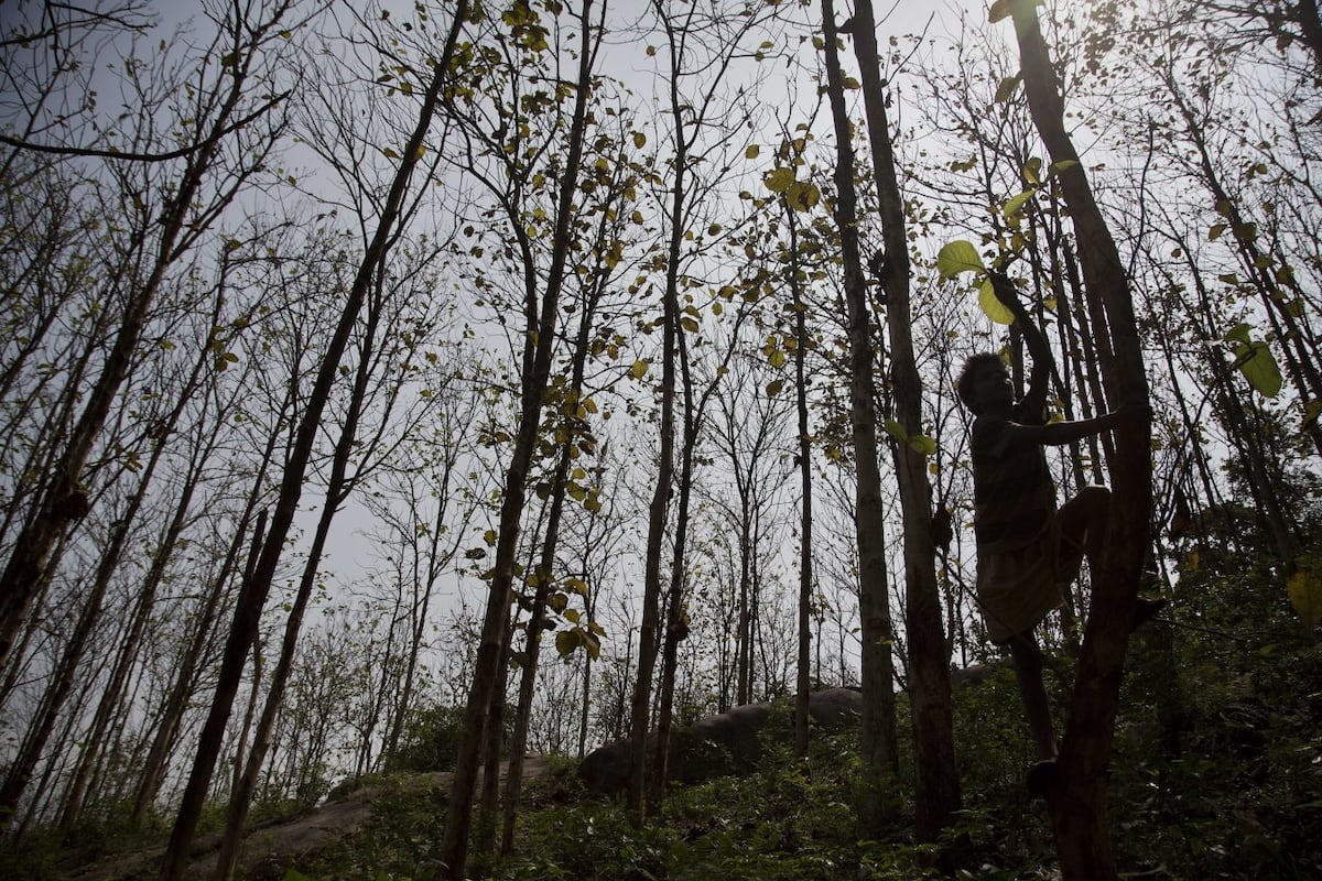 Un paraíso llamado Tierra