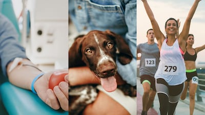 Cinco actividades de fundaciones en Panamá para participar y apoyar una buena causa