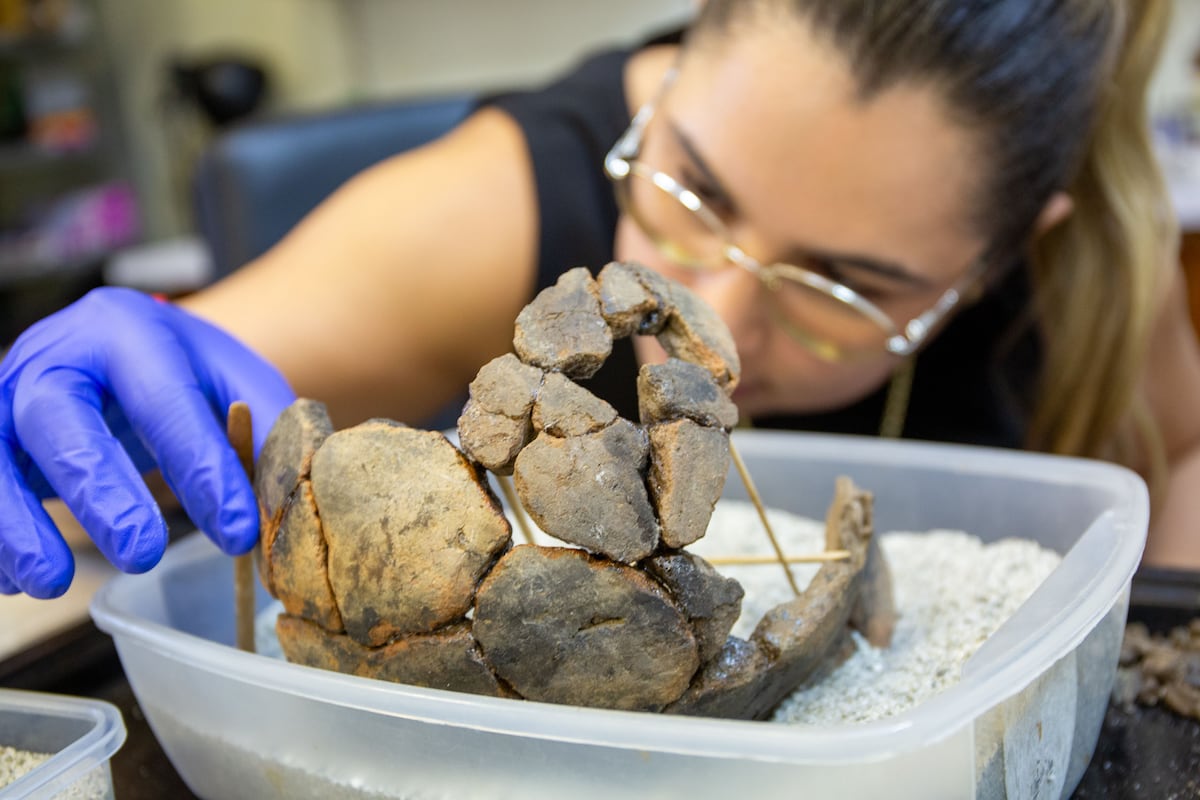 Arqueólogos en Panamá aprenden a reconstruir el pasado