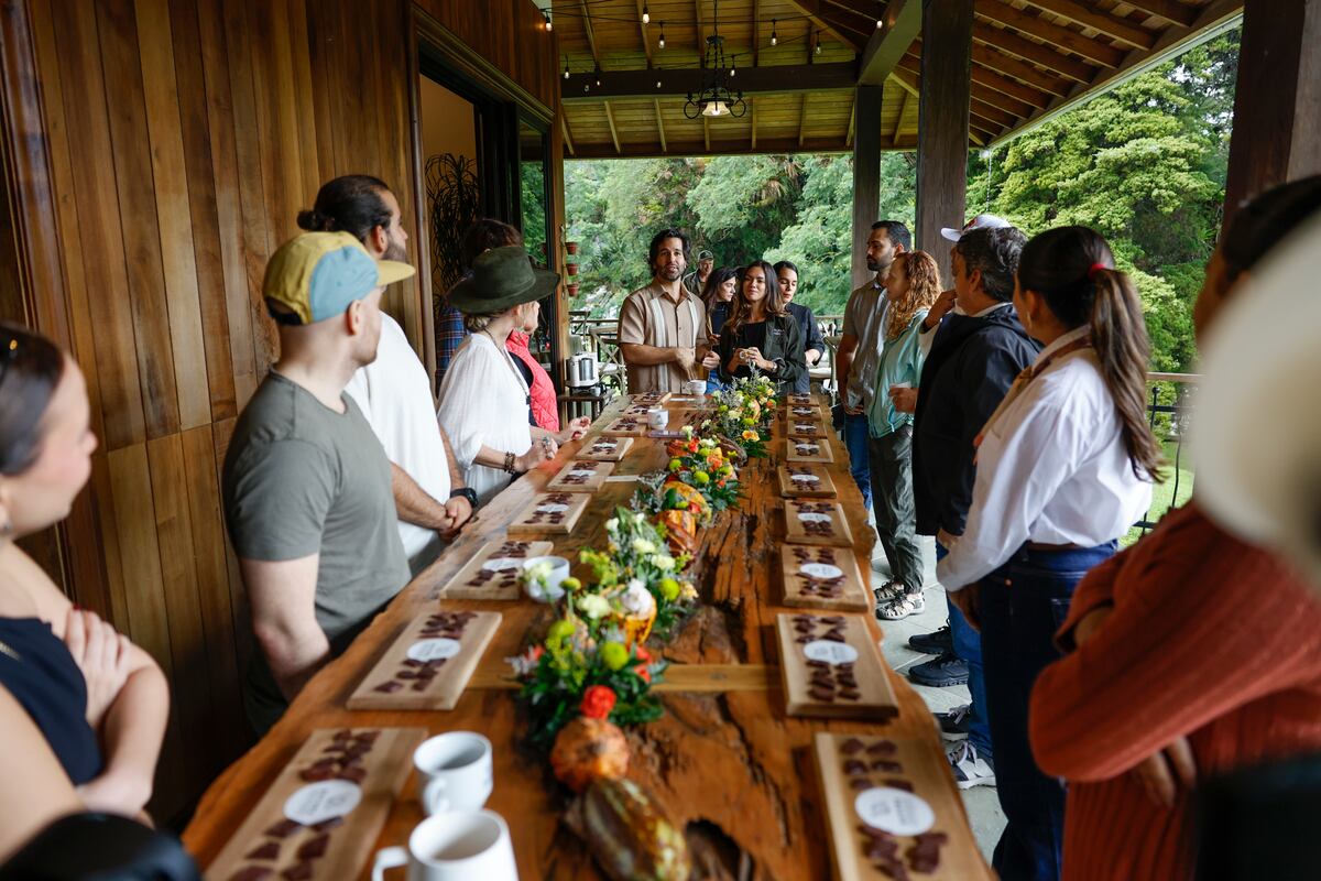 Una ventana al complejo mundo del café de lujo en Panamá con miras al ecoturismo