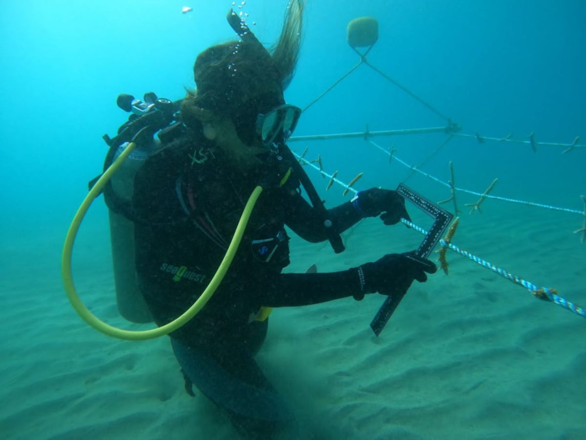 ‘Mi uniforme representa…’: el traje de buceo herramienta de trabajo y protección