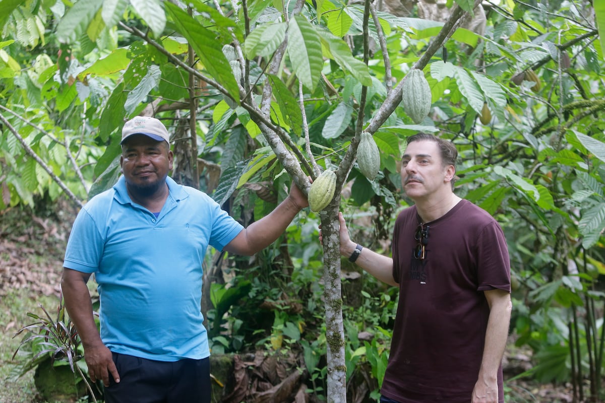 Örebä, el chocolate de los indígenas panameños que “maravilla” al pastelero Jordi Roca