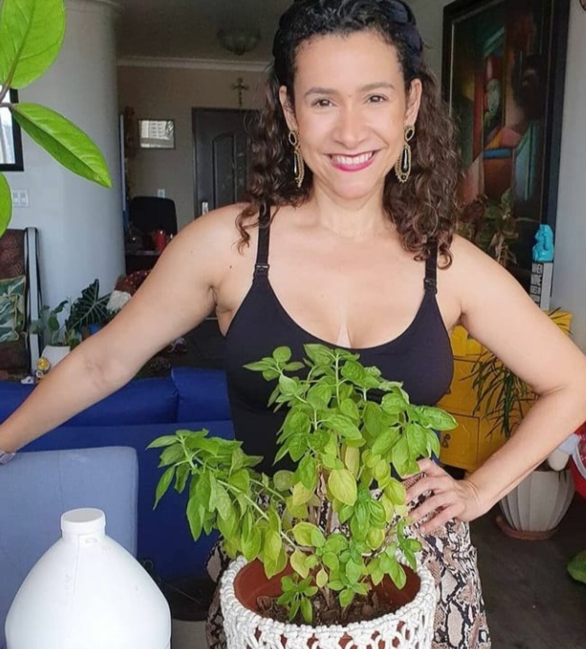 11 cuentas de Instagram en Panamá para ‘plant lovers’