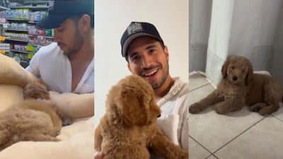 Elmis Castillo revela lo que le pasó a su perrito Dante: ‘lo voy a llevar hasta el final’