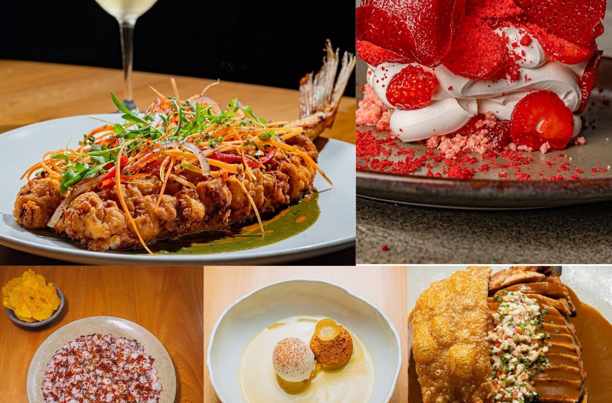 5 platos imperdibles del restaurante Maito en Panamá