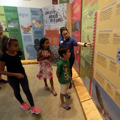 Qué hacer en Panamá este fin de semana en familia