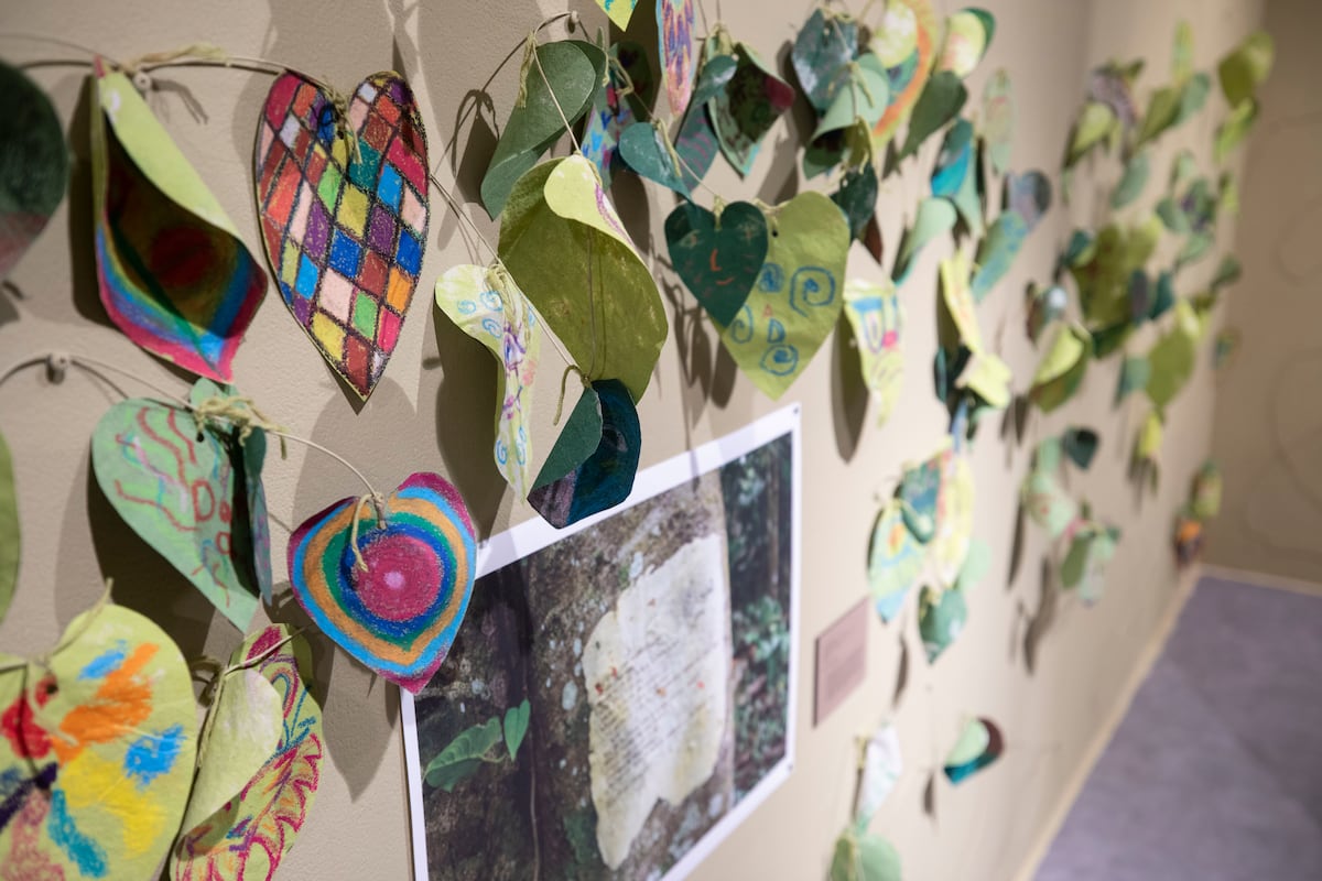 Un ‘jardín salvaje’ vivo: la exposición infantil del Museo de Arte Contemporáneo