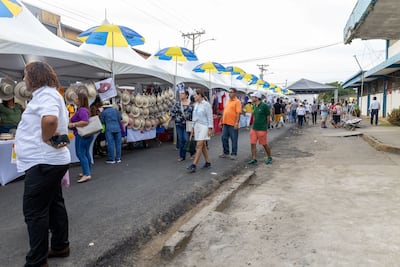 ¿Vas al Desfile de las Mil Polleras? Conoce que otras actividades puedes realizar en Las Tablas