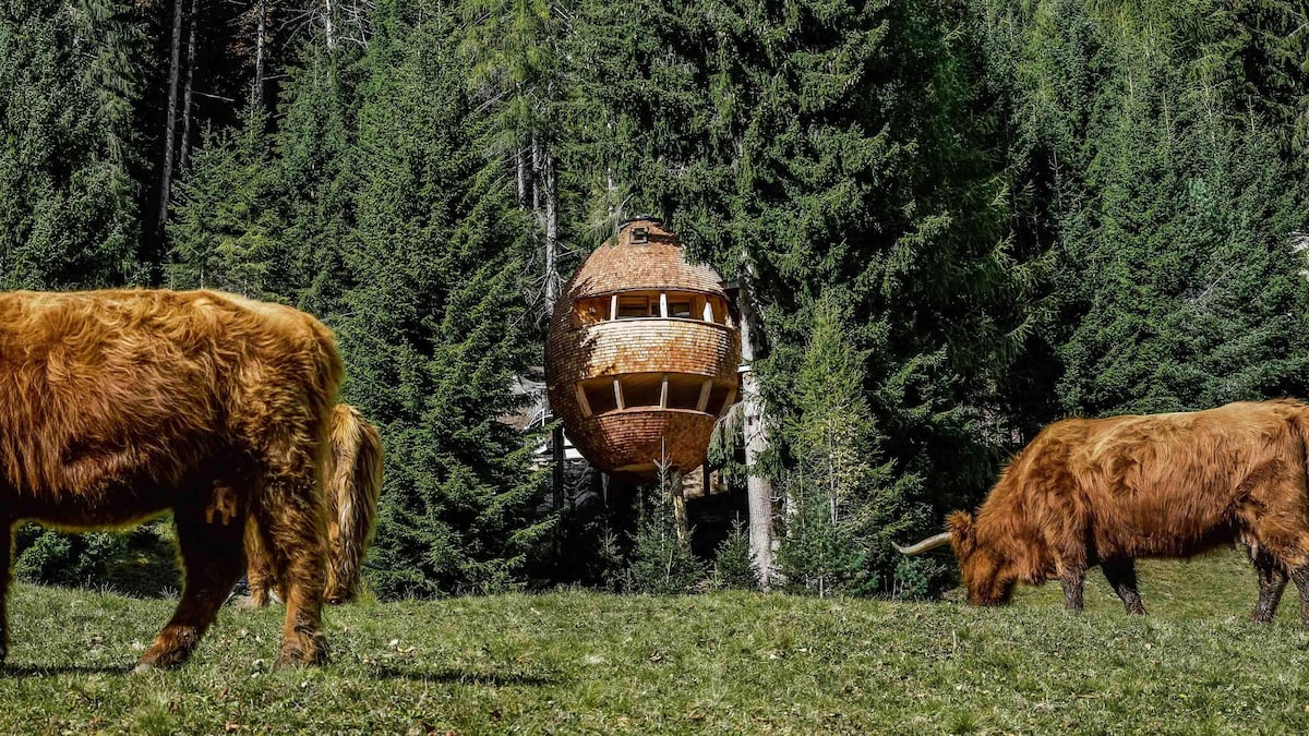 10 de las casas construidas en árboles más espectaculares del mundo (y una de ellas se encuentra en México)