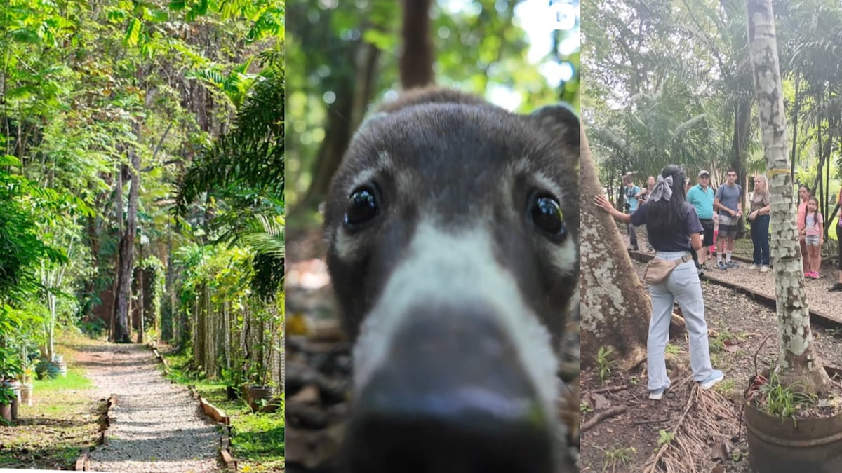 Más allá del Carnaval: actividades alternas que puedes hacer este fin de semana en Panamá