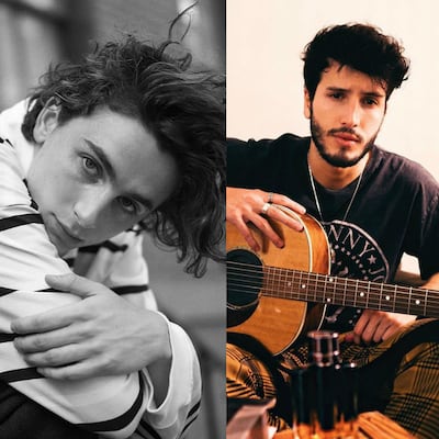 Tom Holland, Timothée Chalamet, Sebastian Yatra y otros galanes jóvenes de la década