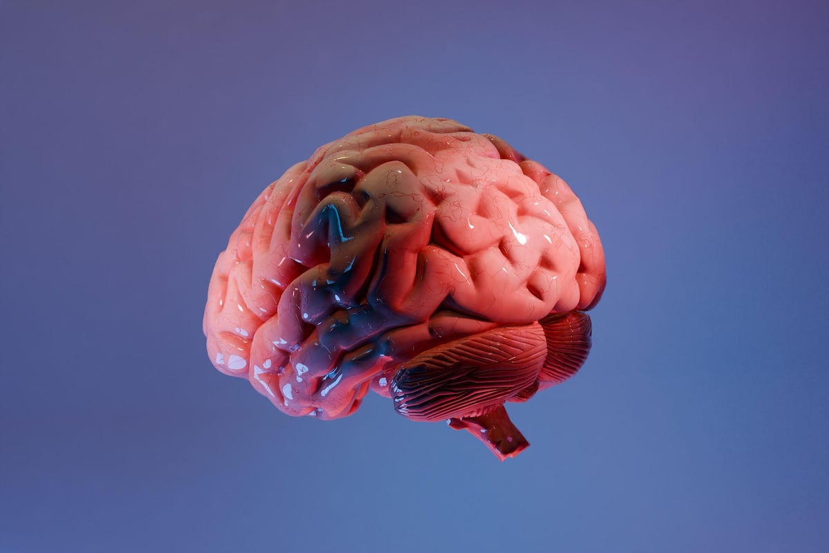 “Uno de los grandes misterios de la ciencia”: lo que la anestesia general revela sobre cómo funciona nuestro cerebro