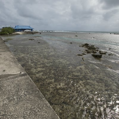 Ciencia frente al mar