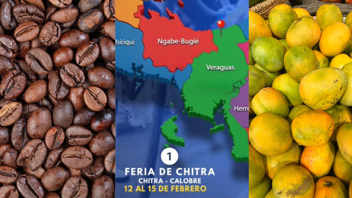 Más allá del Carnaval: actividades alternas que puedes hacer este fin de semana en Panamá