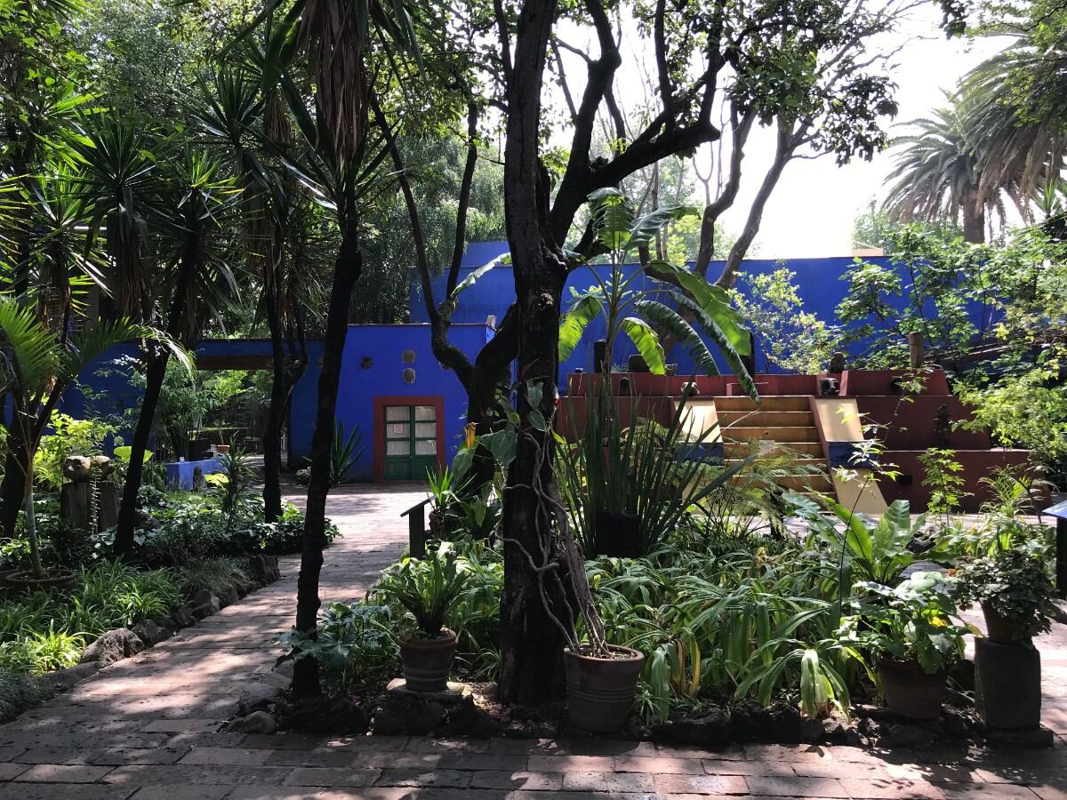 40 horas en Ciudad de México