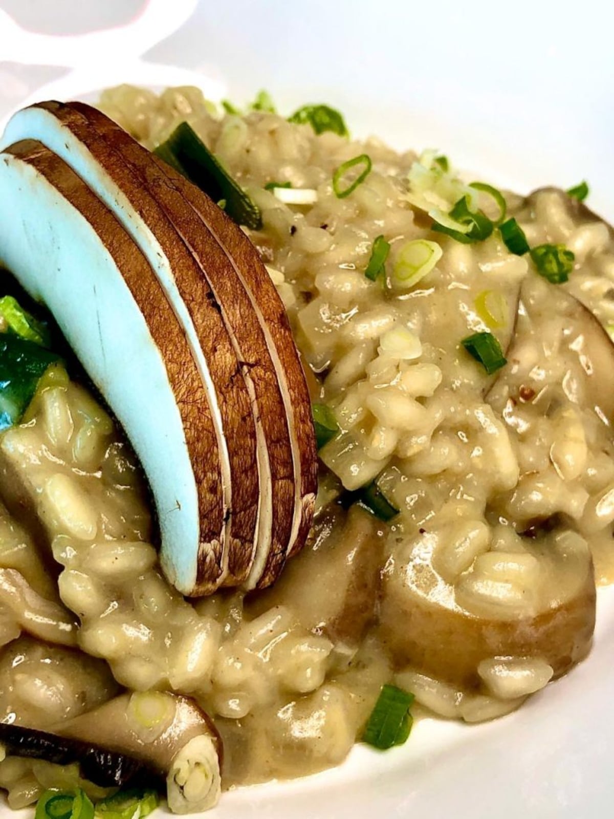 4 recetas para innovar a la hora del almuerzo durante la cuarentena