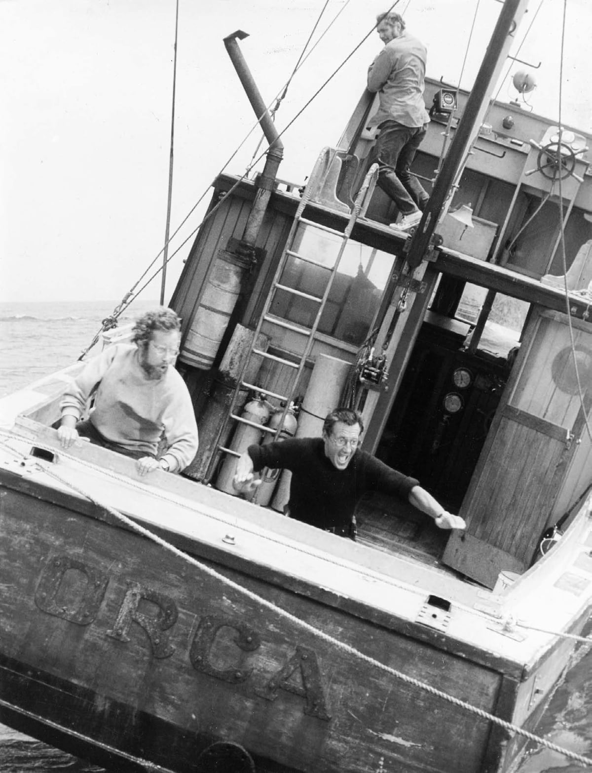 `Tiburón´ cumple medio siglo