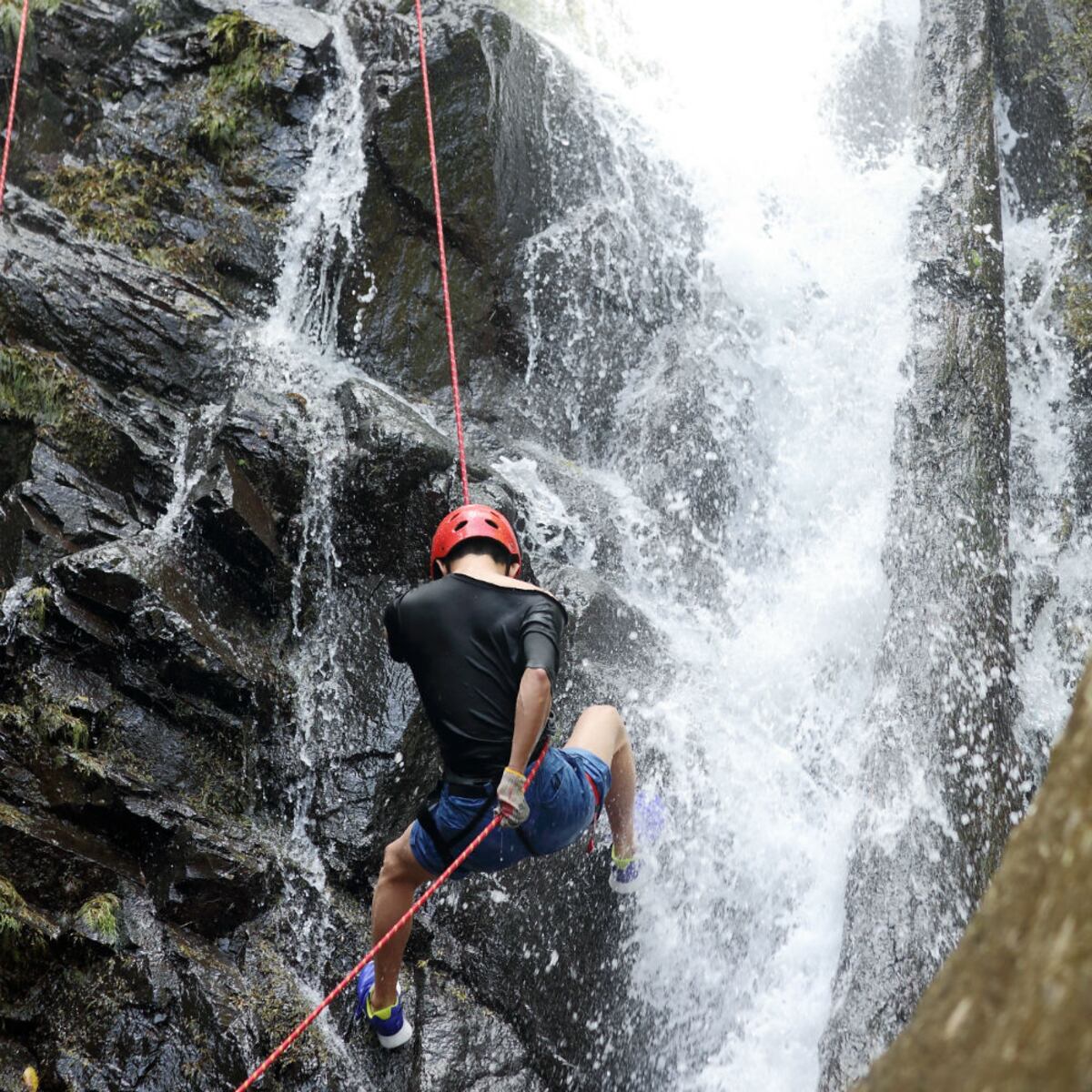 Mientras la India duerme, los demás exploran