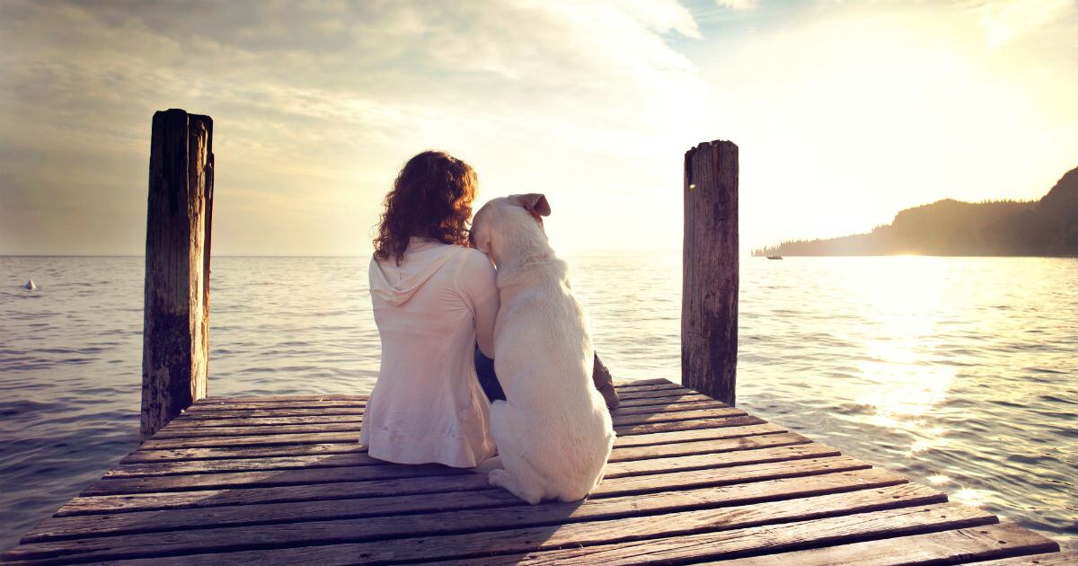 Cuando muere una mascota