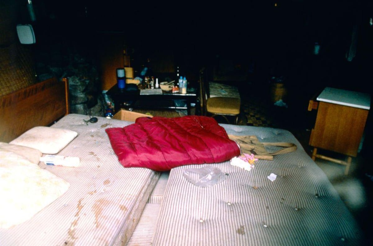 La polémica vida y el misterioso asesinato de Dian Fossey, la zoóloga que inspiró la película “Gorilas en la niebla”