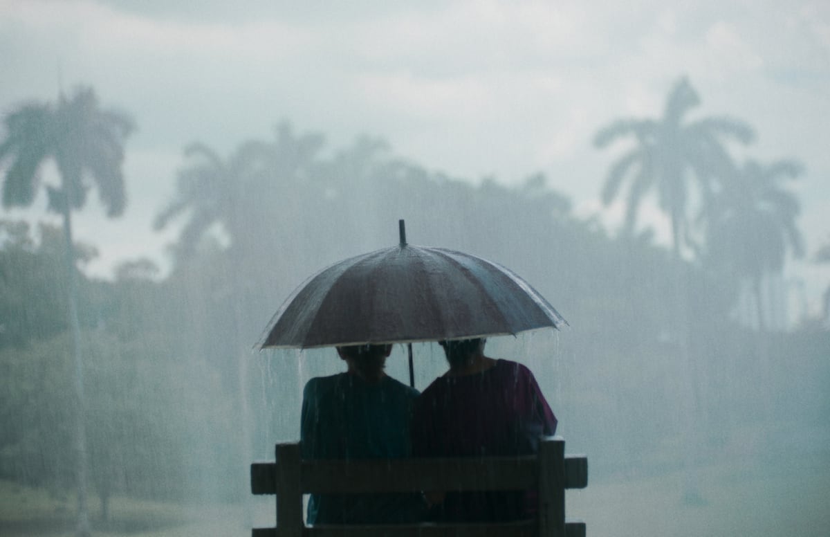 Querido Trópico, la película de Ana Endara, será la cinta de apertura de IFF Panamá este año