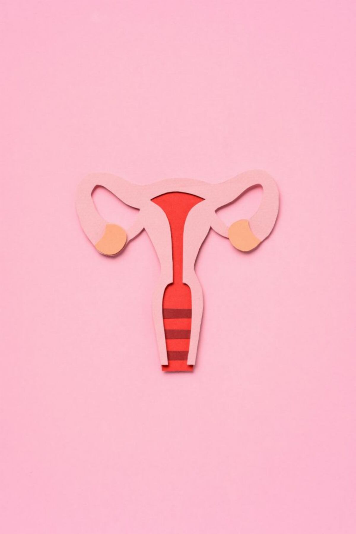 Una visita al ginecologo obstetra